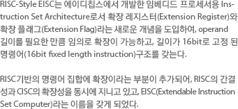 RISC-style EISC는 ㈜에이디칩스에서 개발한 embedded 프로세서용 Instruction Set Architecture로 확장 레지스터(Extension register)와 확장 플래그(Extension flag)라는 새로운 개념을 도입하여, Operand 길이를 필요한 만큼 임의로 확장이 가능하고, 길이가 16bit로 고정 된 명령어(16bit fixed length instruction)구조를 갖는다. RISC기반의 명령어 집합에 확장이라는 부분이 추가되어, RISC의 간결성과 CISC의 확장성을 동시에 지니고 있고, EISC(Extendable Instruction Set Computing)라는 이름을 갖게 되었다.